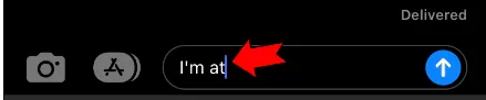type the text